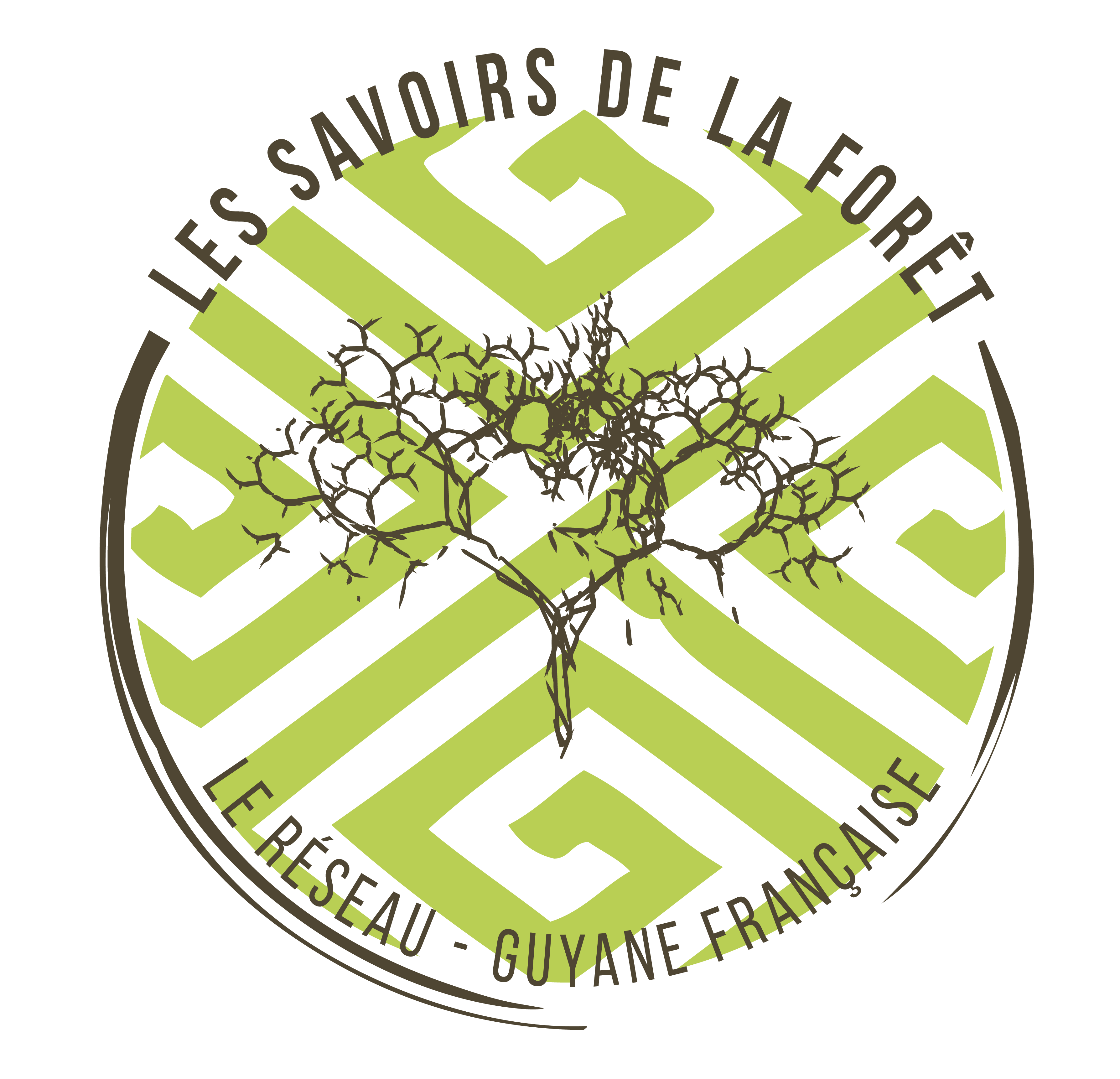 Les Savoirs de la Forêt